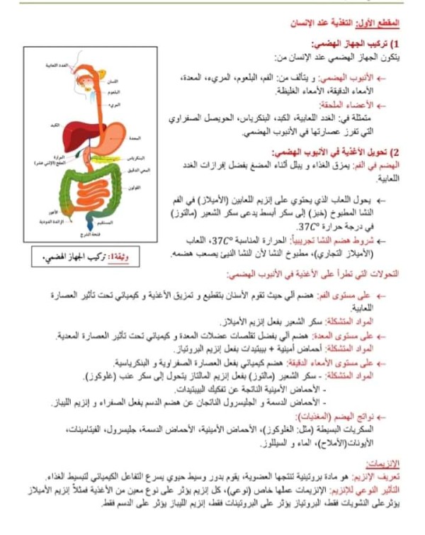 ملخص درس الظواهر الكهربائية  4 متوسط